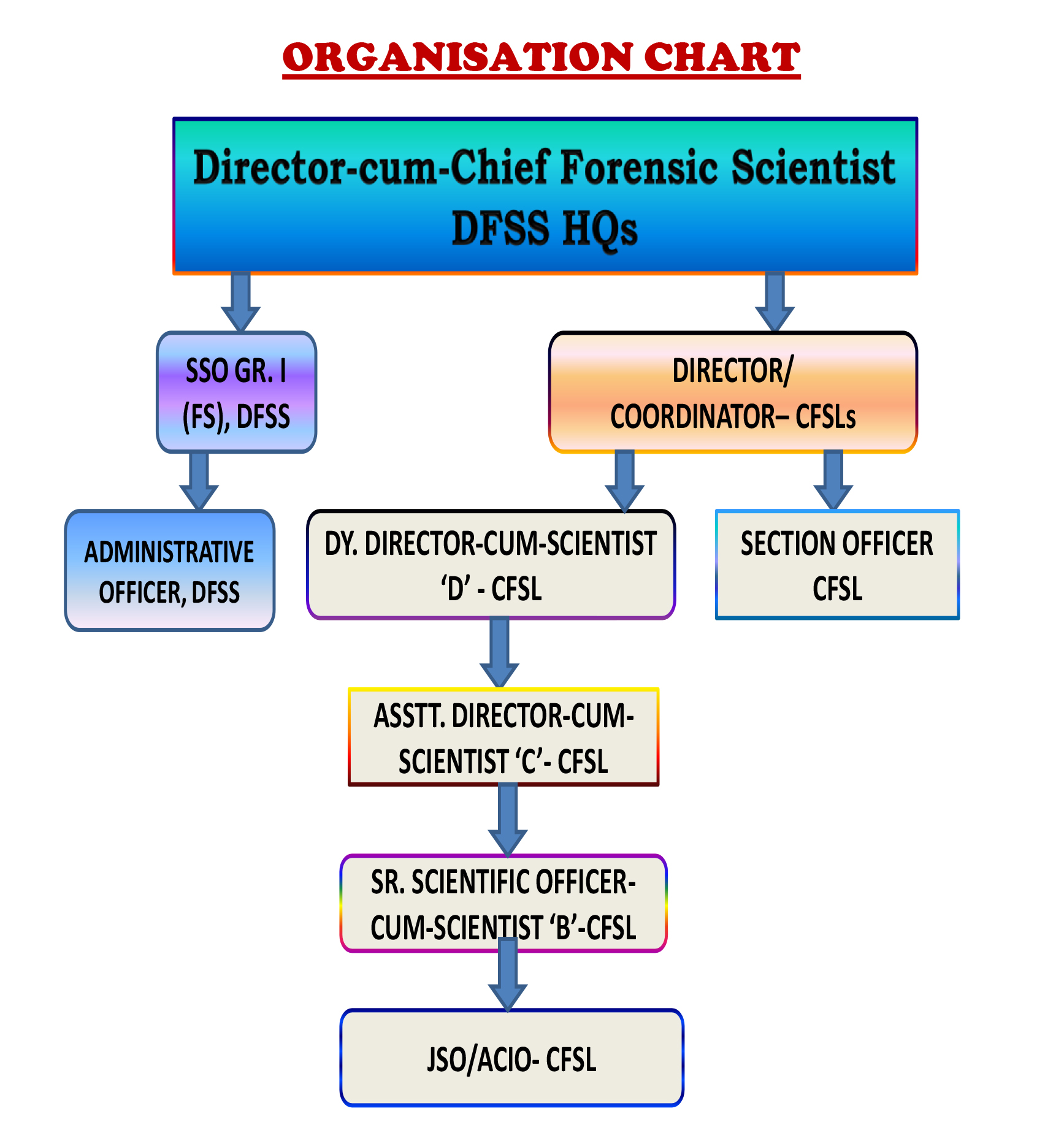 Mha Org Chart